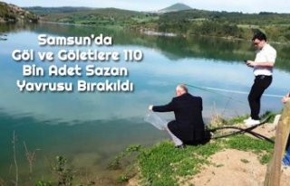 Samsun’da Göl ve Göletlere 110 Bin Adet Sazan...