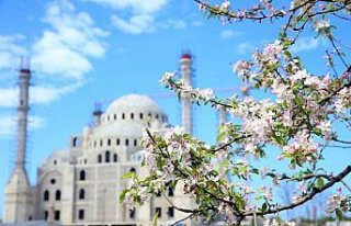 Trabzon ve Ordu'da kısıtlamanın son gününde de...