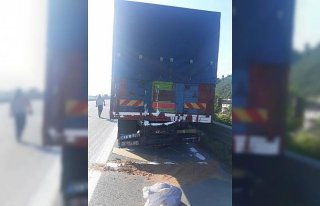 Anadolu Otoyolu'nda iki kamyon çarpıştı: 5 yaralı