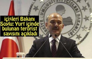 İçişleri Bakanı Soylu: Yurt içinde bulunan terörist...