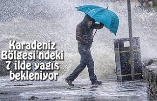 Karadeniz Bölgesi'ndeki 7 ilde yağış bekleniyor