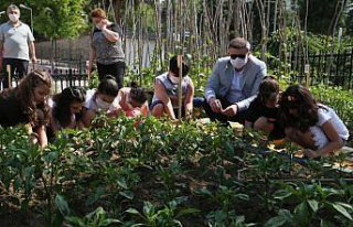 Öğretmen ve öğrencileri okul bahçesinde sebze...