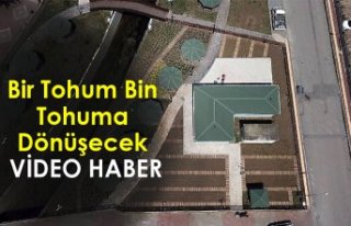 ÖZEL ALANDA MUHAFAZA EDİLECEK / VİDEO HABER