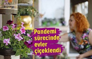 Pandemi sürecinde evler çiçeklendi