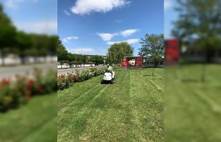 Samsun’da 530 bin çiçek toprakla buluştu