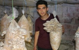 Üniversite öğrencisi Kovid-19 salgını sürecinde...