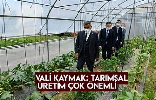 VALİ KAYMAK: TARIMSAL ÜRETİM ÇOK ÖNEMLİ