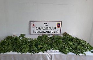 Zonguldak'ta uyuşturucu operasyonunda 1 kişi gözaltına...