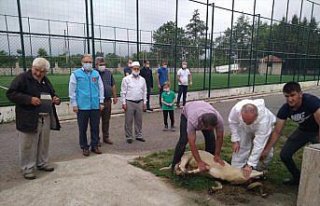 Ayasofya'nın ibadete kapalı kaldığı 86 sene için...