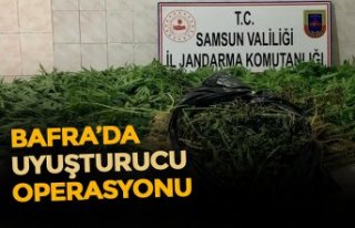 BAFRA'DA KENEVİRE DARBE