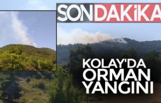 KOLAY'DA ORMAN YANGINI