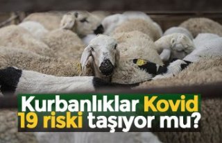 Kurbanlıklar Kovid-19 riski taşıyor mu?