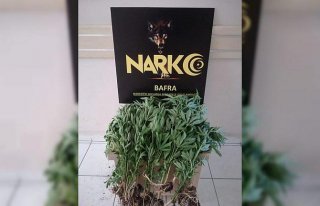 Samsun'da uyuşturucu operasyonu düzenlendi