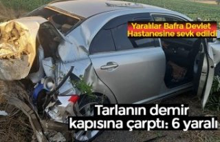 Tarlanın demir kapısına çarptı: 6 yaralı