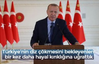 Türkiye'nin diz çökmesini bekleyenleri bir...