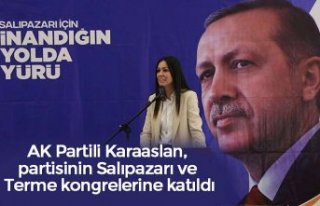 AK Partili Karaaslan, partisinin Salıpazarı ve Terme...