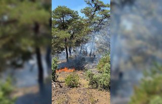 Amasya'da çıkan orman yangınına müdahale ediliyor