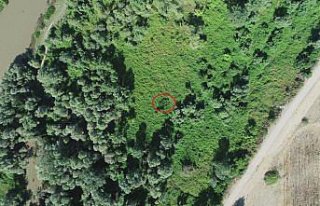 Amasya'da polis ekipleri drone yardımıyla ormanlık...