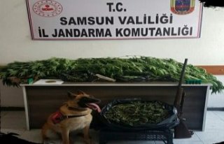 BAFRA'DA UYUŞTURUCU OPERASYONU