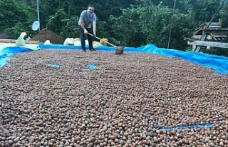 Fındık üreticisine lisanslı depo daveti