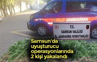 Samsun'da uyuşturucu operasyonlarında 2 kişi...