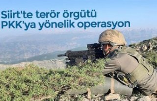 Siirt'te terör örgütü PKK'ya yönelik...