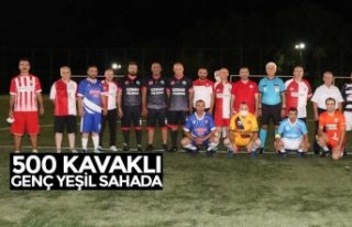 500 KAVAKLI GENÇ YEŞİL SAHADA
