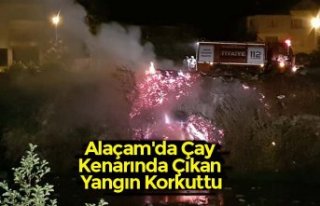 Alaçam'da Çay Kenarında Çıkan Yangın Korkuttu