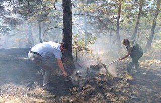 Amasya'da aynı yerde orman yangını çıktı, iki...