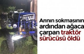 Arının sokmasının ardından ağaca çarpan traktör...