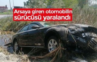 Arsaya giren otomobilin sürücüsü yaralandı