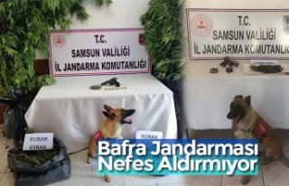 Bafra Jandarması Nefes Aldırmıyor