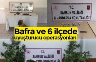 Bafra ve 6 ilçede uyuşturucu operasyonları