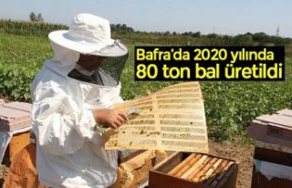 Bafra’da 2020 yılında 80 ton bal üretildi