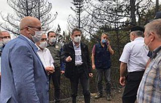 Çorum ve Sinop arasındaki ormanlık alanda çıkan...