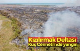 Kızılırmak Deltası Kuş Cenneti'nde yangın