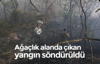 Ağaçlık alanda çıkan yangın söndürüldü