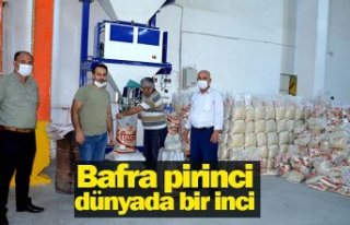 Bafra pirinci dünyada bir inci