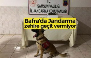 Bafra’da Jandarma zehire geçit vermiyor