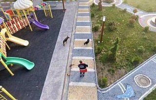 Bekçi köpeği, belediye temizlik işçisinin can...