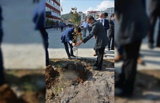 Fatsa'da okul bahçelerine fidan dikildi