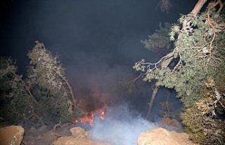 GÜNCELLEME - Kastamonu'da orman yangını