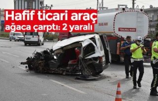 Hafif ticari araç ağaca çarptı: 2 yaralı