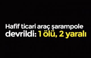 Hafif ticari araç şarampole devrildi: 1 ölü, 2...