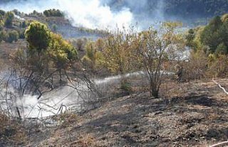 Kastamonu'da yangında 2 hektar ormanlık alan zarar...