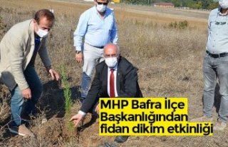 MHP Bafra İlçe Başkanlığından fidan dikim etkinliği