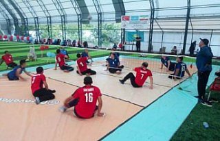 Oturarak voleybolda dostluk maçı