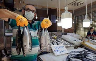 Palamut fiyatlarında 