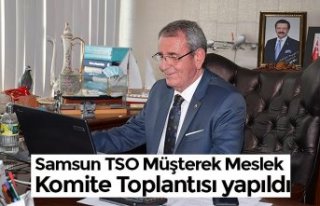 Samsun TSO Müşterek Meslek Komite Toplantısı yapıldı