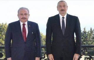TBMM Başkanı Şentop, Azerbaycan Cumhurbaşkanı...